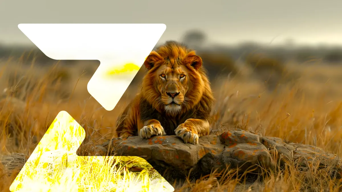 Como não cair na malha fina do Imposto de Renda: Guia completo